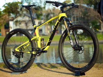 Велосипеди Giant: опис велосипедів Giant XTC та Escape, Revel і Anthem, Roam і Talon, інші моделі марки. Відгуки власників