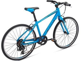 Велосипеди Giant: опис велосипедів Giant XTC та Escape, Revel і Anthem, Roam і Talon, інші моделі марки. Відгуки власників