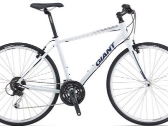 Велосипеди Giant: опис велосипедів Giant XTC та Escape, Revel і Anthem, Roam і Talon, інші моделі марки. Відгуки власників