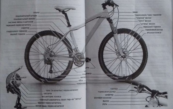 Велосипеди Stark: країна-виробник. Опис велосипедів Indy Lady і Router, Cobra і Luna, Tactic та інших дитячих і дорослих моделей