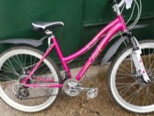 Велосипеди Stark: країна-виробник. Опис велосипедів Indy Lady і Router, Cobra і Luna, Tactic та інших дитячих і дорослих моделей