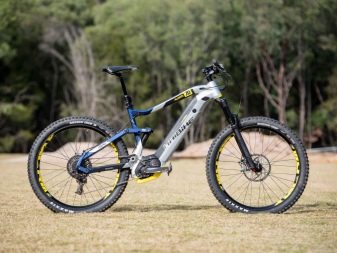 Велосипеди з двигуном (29 фото): триколісні складні та інші моторні дорослі велосипеди, їх характеристики