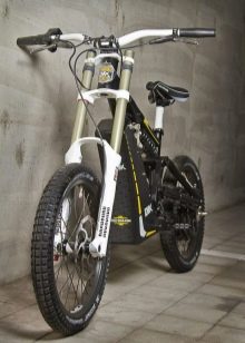 Велосипеди з двигуном (29 фото): триколісні складні та інші моторні дорослі велосипеди, їх характеристики