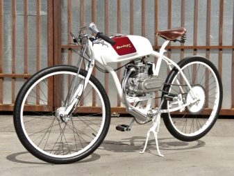 Велосипеди з двигуном (29 фото): триколісні складні та інші моторні дорослі велосипеди, їх характеристики