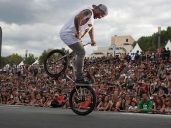 Велоспорт: види велосипедного спорту, гонки по шосе і змагання на велосипедах по треку з перешкодами. Що таке BMX і маунтінбайк?