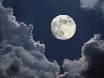 Властивості срібла: хімічні та фізичні властивості металу. Якими корисними властивостями володіє метал і його з’єднання?