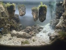Водоспад в акваріумі (17 фото): як зробити маленький пісочний акваріумний водоспад своїми руками? Покрокова інструкція