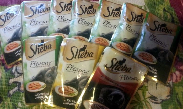 Вологі корми для кішок (35 фото): рейтинг виробників, кращі рідкі корми за якістю. Скільки потрібно давати в день? Відгуки ветеринарів