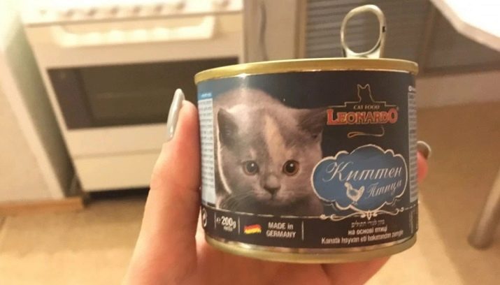 Вологі корми для кішок (35 фото): рейтинг виробників, кращі рідкі корми за якістю. Скільки потрібно давати в день? Відгуки ветеринарів