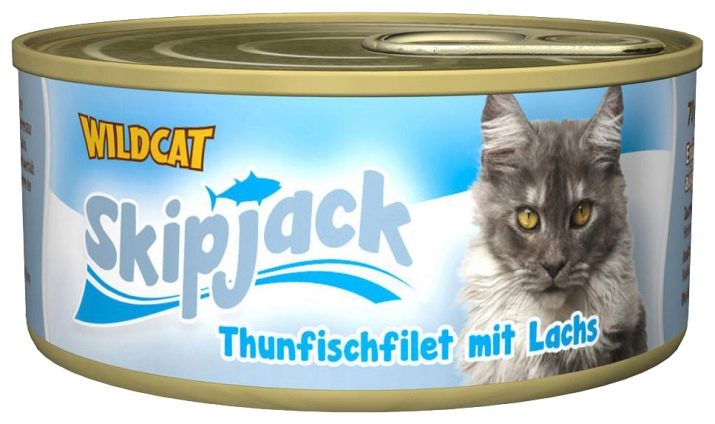 Вологі корми для кішок (35 фото): рейтинг виробників, кращі рідкі корми за якістю. Скільки потрібно давати в день? Відгуки ветеринарів