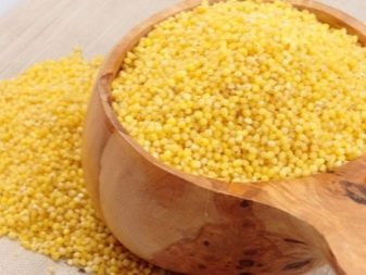 Вологі корми для кішок (35 фото): рейтинг виробників, кращі рідкі корми за якістю. Скільки потрібно давати в день? Відгуки ветеринарів