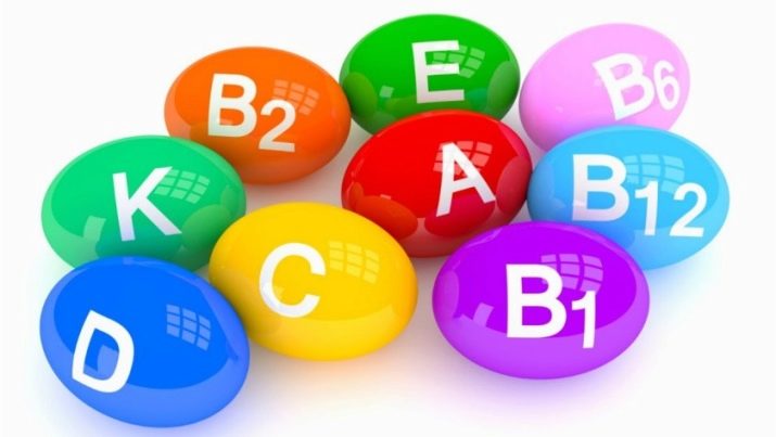 Вологі корми для кішок (35 фото): рейтинг виробників, кращі рідкі корми за якістю. Скільки потрібно давати в день? Відгуки ветеринарів