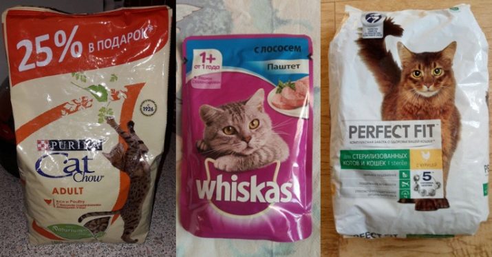 Вологі корми для кішок (35 фото): рейтинг виробників, кращі рідкі корми за якістю. Скільки потрібно давати в день? Відгуки ветеринарів