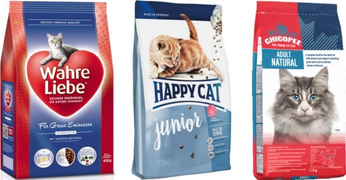 Вологі корми для кішок (35 фото): рейтинг виробників, кращі рідкі корми за якістю. Скільки потрібно давати в день? Відгуки ветеринарів