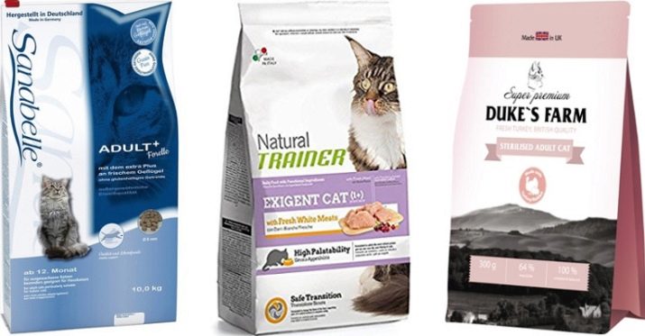 Вологі корми для кішок (35 фото): рейтинг виробників, кращі рідкі корми за якістю. Скільки потрібно давати в день? Відгуки ветеринарів