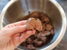 Європейська бурма (22 фото): опис характеру кішки. Які існують окраси європейської бурми? Як годувати? Особливості кастрації та стерилізації. Як вони переносять перельоти?