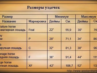 Вуздечка для коня (30 фото): що це таке? Розміри і будова вузди. Як своїми руками правильно одягнути недоуздок на коня? Види вуздечок