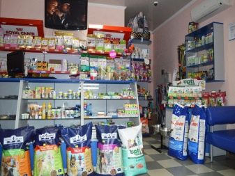 Як мити собаку? Потрібно купати цуценя в спеку? Коли в перший раз його мити? Можна використовувати господарське мило? Правила миття