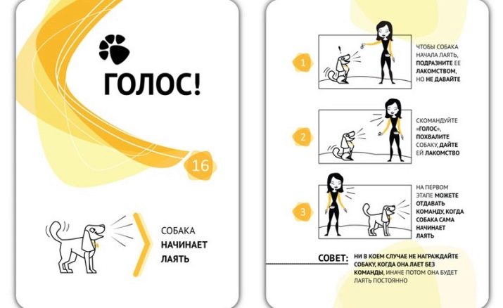 Як навчити собаку команді «Голос»? Як привчити цуценя гавкати на чужих людей у приватному будинку в домашніх умовах?