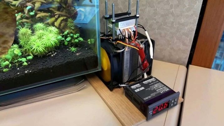 Як охолодити воду в акваріумі? 12 фото Як правильно охолоджувати воду акваріумним холодильником? Кращі охолоджувачі в спеку