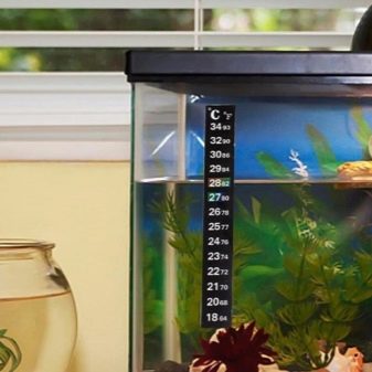 Як охолодити воду в акваріумі? 12 фото Як правильно охолоджувати воду акваріумним холодильником? Кращі охолоджувачі в спеку