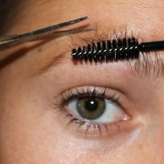 Як підстригти брови? 43 фото Як правильно підстригати в домашніх умовах жінці, правила стрижки ножицями