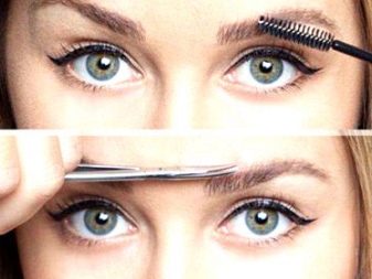 Як підстригти брови? 43 фото Як правильно підстригати в домашніх умовах жінці, правила стрижки ножицями