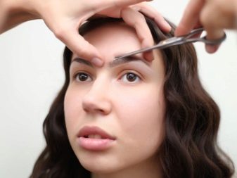 Як підстригти брови? 43 фото Як правильно підстригати в домашніх умовах жінці, правила стрижки ножицями