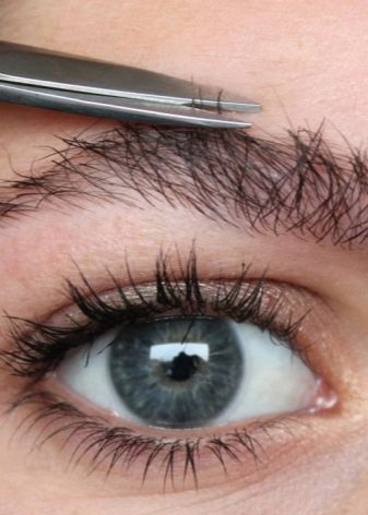 Як підстригти брови? 43 фото Як правильно підстригати в домашніх умовах жінці, правила стрижки ножицями