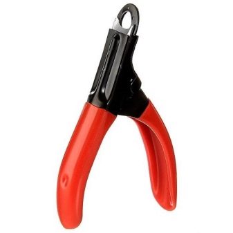 Як підстригти кігті кішці? 25 фото Чим їх стригти в домашніх умовах? Можна обстригти кігті кошеняті? Як часто потрібно це робити?