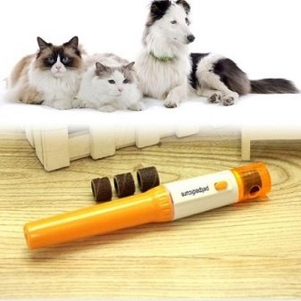 Як підстригти кігті кішці? 25 фото Чим їх стригти в домашніх умовах? Можна обстригти кігті кошеняті? Як часто потрібно це робити?