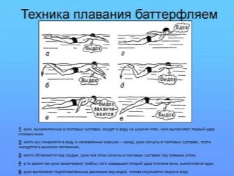 Як плавати в басейні? Техніки плавання і безпеки. Як правильно дихати? Способи плавання кролем і під водою