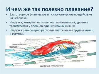 Як плавати в басейні? Техніки плавання і безпеки. Як правильно дихати? Способи плавання кролем і під водою