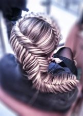 Як плести риб’ячий хвіст? 112 фото Як зробити зачіску з косою? Як заплести косичку навиворіт? Покрокові інструкції плетіння