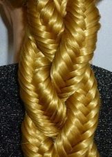 Як плести риб’ячий хвіст? 112 фото Як зробити зачіску з косою? Як заплести косичку навиворіт? Покрокові інструкції плетіння