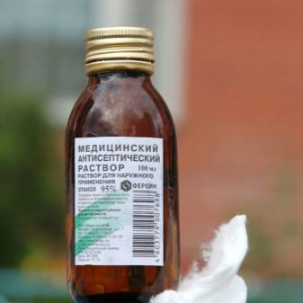 Як почистити столові прилади? Чистка мельхіорових ложок в домашніх умовах. Як очистити срібні виделки? Чим відмити прилади від застарілого жиру і чайного нальоту?