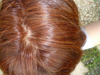 Як пофарбувати волосся хною? 57 фото Як її правильно розводити і наносити в домашніх умовах? Як часто можна фарбувати волосся?