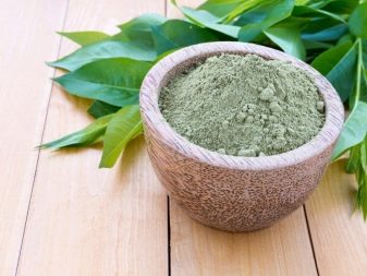 Як пофарбувати волосся хною? 57 фото Як її правильно розводити і наносити в домашніх умовах? Як часто можна фарбувати волосся?