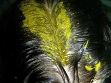 Як пофарбувати волосся хною? 57 фото Як її правильно розводити і наносити в домашніх умовах? Як часто можна фарбувати волосся?