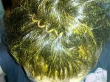 Як пофарбувати волосся хною? 57 фото Як її правильно розводити і наносити в домашніх умовах? Як часто можна фарбувати волосся?