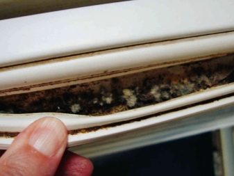 Як помити холодильник? 35 фото Чим відмити всередині і зовні новий після покупки, після розморожування як прибрати запах і відчистити поверхню від жовтизни