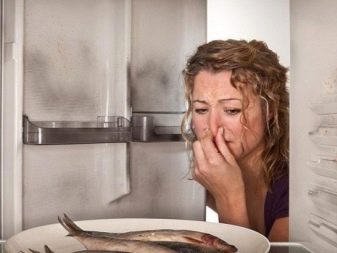 Як помити холодильник? 35 фото Чим відмити всередині і зовні новий після покупки, після розморожування як прибрати запах і відчистити поверхню від жовтизни