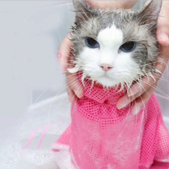 Як помити кота, якщо він боїться води і дряпається? Причини та ознаки страх води. Які пристосування необхідні в цьому випадку?