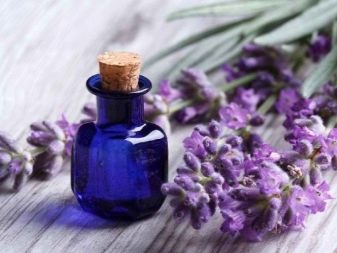 Як позбавитися від запаху гару в квартирі після згорілої каструлі? Способи, за допомогою яких можна швидко прибрати запах