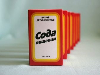 Як позбутися від котячої шерсті? Методи, з допомогою яких можна швидко прибрати шерсть кішки і кота в квартирі