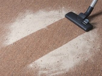 Як позбутися від котячої шерсті? Методи, з допомогою яких можна швидко прибрати шерсть кішки і кота в квартирі