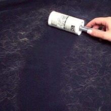 Як позбутися від котячої шерсті? Методи, з допомогою яких можна швидко прибрати шерсть кішки і кота в квартирі