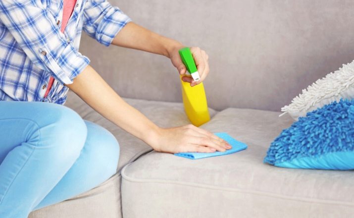 Як позбутися від котячої шерсті? Методи, з допомогою яких можна швидко прибрати шерсть кішки і кота в квартирі