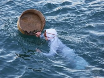 Як утворюється перли? Звідки він береться в раковинах? Як його вирощують? Особливості освіти в молюска