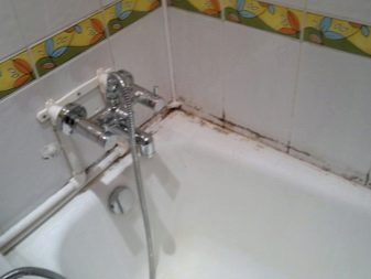 Як відмити цвіль у ванній? 13 фото Чим відтерти грибок на стінах і стелі, як видалити чорні плями з поверхні ванни і з іграшок для купання